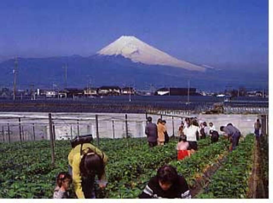 ゲストハウス+カフェわ　１日１組限定！ 築１００年の農家の古民家で宿泊体験、薪でお風呂沸かせます。焚き火もできます。 Kannami Екстер'єр фото